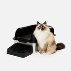 Pawvera